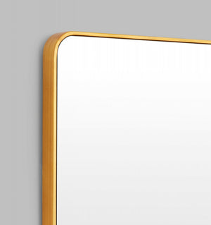 Flynn Curve Leaner Mirror