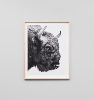 Buy Bison Print online at - Sofas Direct