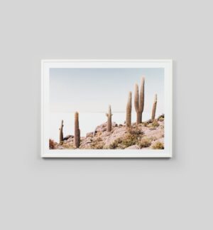 Buy Cactus View Print online at - Sofas Direct