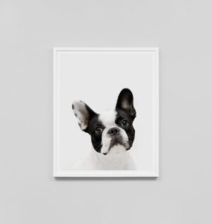 Buy French Bulldog Print online at - Sofas Direct
