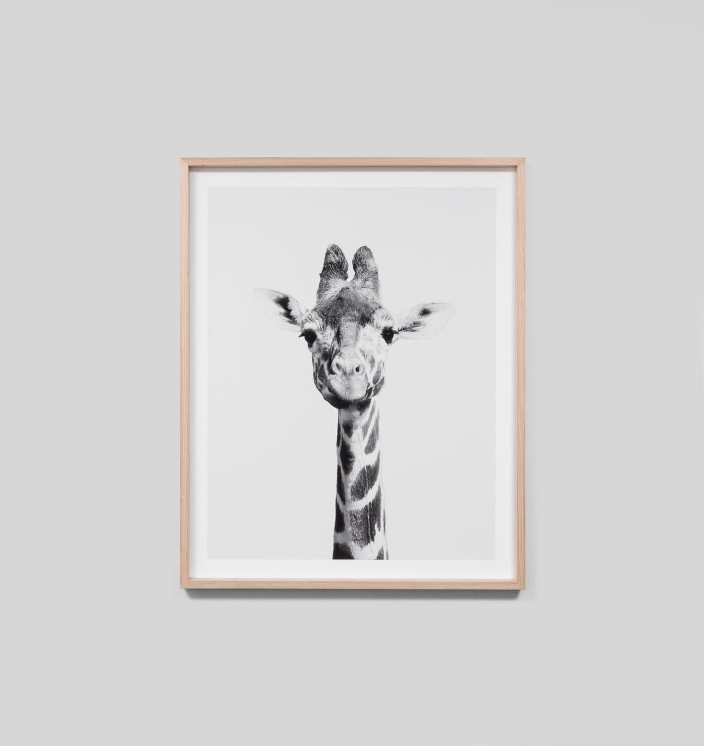 Buy Giraffe Portrait Print online at - Sofas Direct