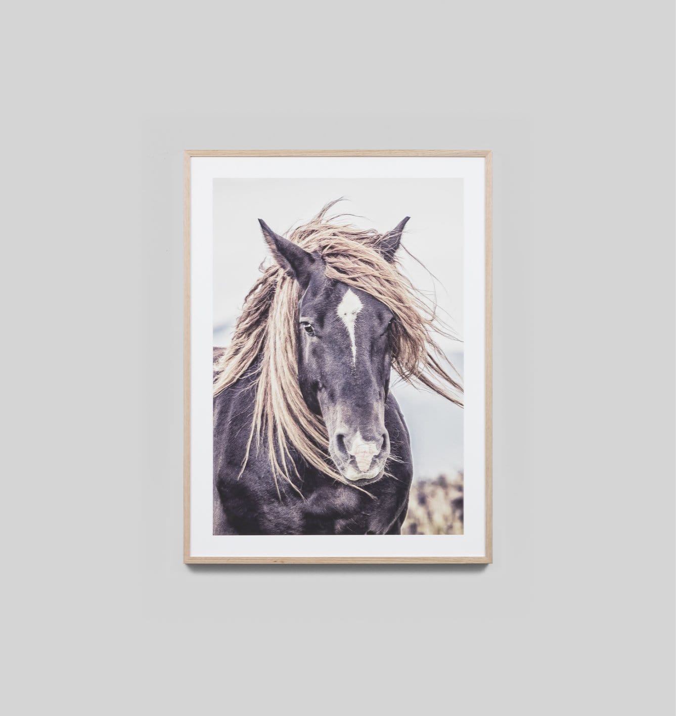 Buy Lone Mustang Print online at - Sofas Direct