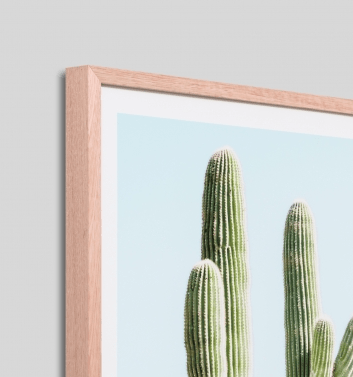 Buy Pink Cactus online at - Sofas Direct