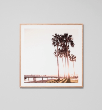 Buy Palm Foreshore Print online at - Sofas Direct
