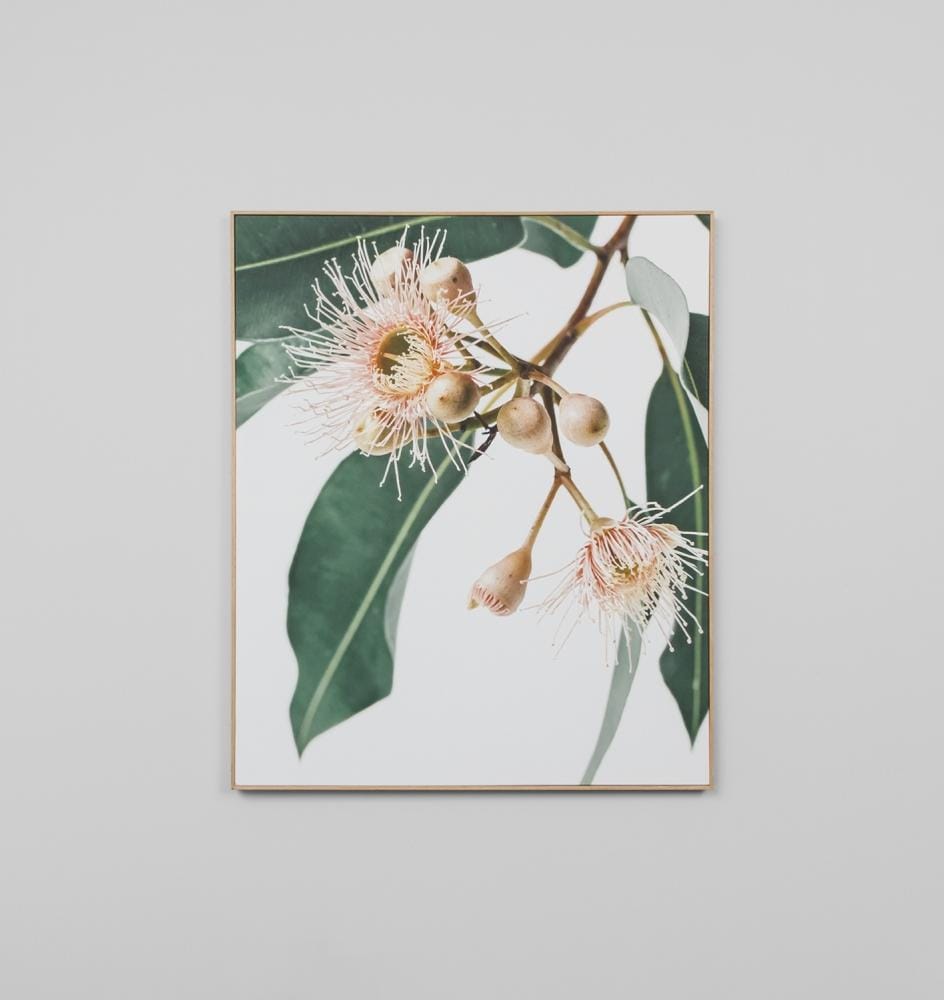 Eucalyptus Flower 2 Canvas - Sofas Direct