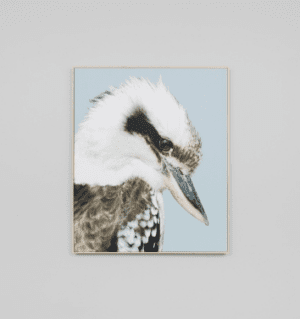 Kookaburra Canvas - Sofas Direct